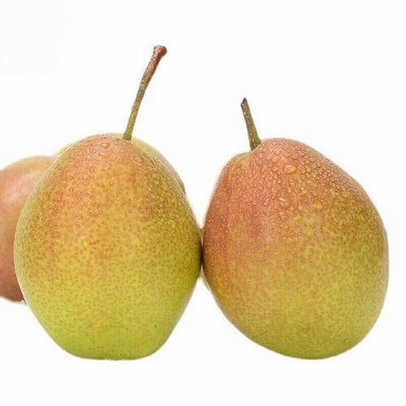 春季養(yǎng)顏保健的養(yǎng)生法早春