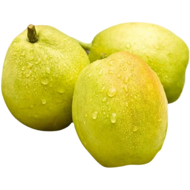 春季養(yǎng)生注意少用阿膠類(lèi)補(bǔ)品早春